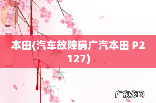 汽车故障码广汽本田 P2127 本田