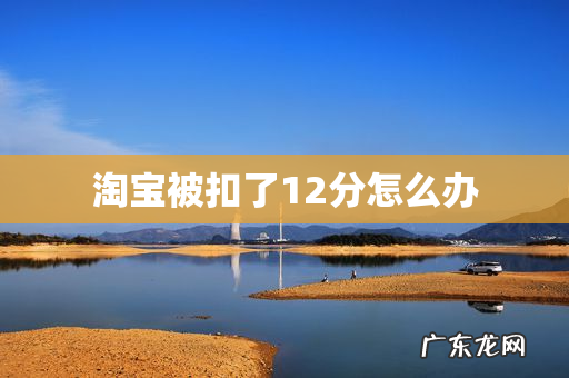 淘宝被扣了12分怎么办