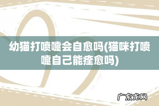 猫咪打喷嚏自己能痊愈吗 幼猫打喷嚏会自愈吗