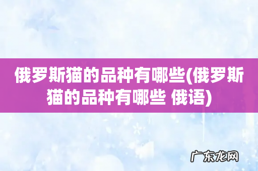 俄罗斯猫的品种有哪些 俄语 俄罗斯猫的品种有哪些