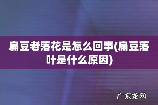 扁豆落叶是什么原因 扁豆老落花是怎么回事