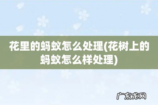 花树上的蚂蚁怎么样处理 花里的蚂蚁怎么处理