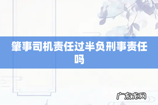 肇事司机责任过半负刑事责任吗