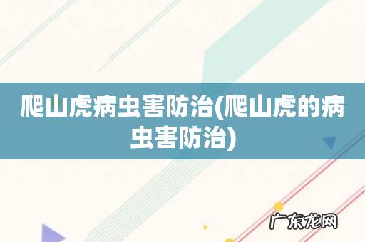 爬山虎的病虫害防治 爬山虎病虫害防治