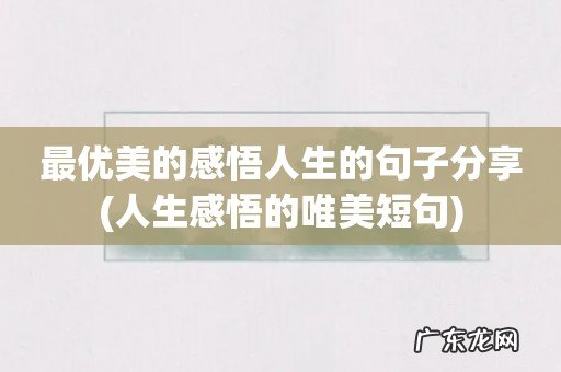人生感悟的唯美短句 最优美的感悟人生的句子分享