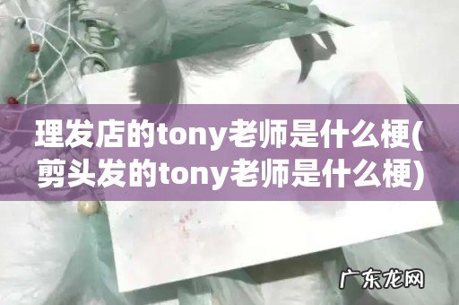 剪头发的tony老师是什么梗 理发店的tony老师是什么梗