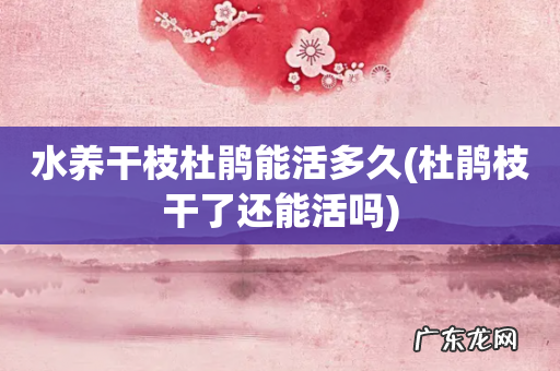 杜鹃枝干了还能活吗 水养干枝杜鹃能活多久