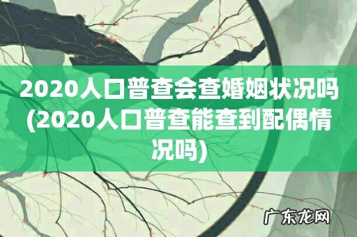 2020人口普查能查到配偶情况吗 2020人口普查会查婚姻状况吗