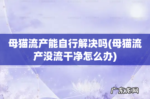 母猫流产没流干净怎么办 母猫流产能自行解决吗