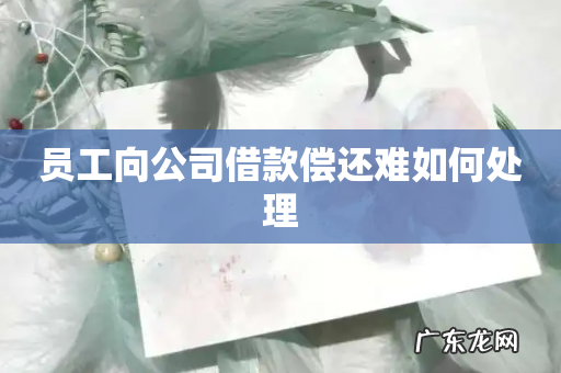 员工向公司借款偿还难如何处理