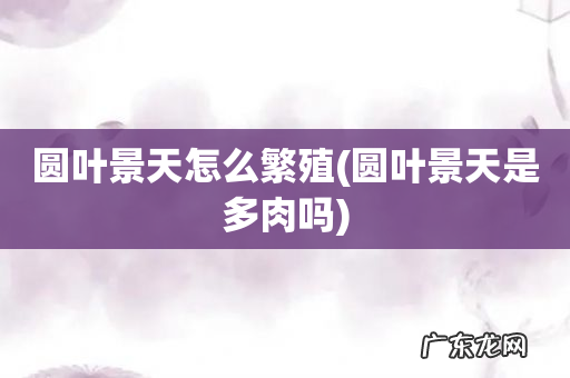 圆叶景天是多肉吗 圆叶景天怎么繁殖