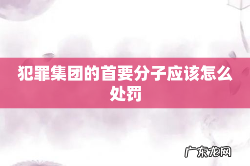 犯罪集团的首要分子应该怎么处罚