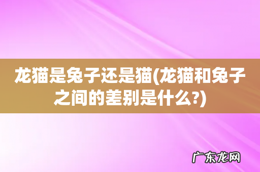 龙猫和兔子之间的差别是什么? 龙猫是兔子还是猫