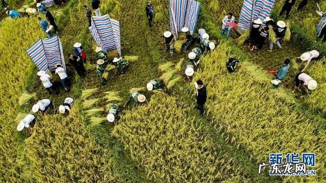 幼儿秋季小常识的知识 幼儿园秋季小知识