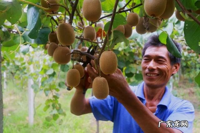 幼儿秋季小常识的知识 幼儿园秋季小知识