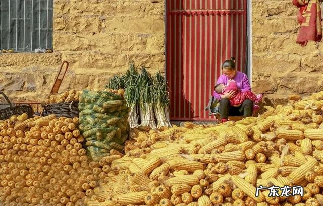 幼儿秋季小常识的知识 幼儿园秋季小知识