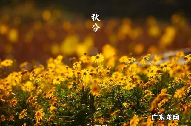 幼儿秋季小常识的知识 幼儿园秋季小知识