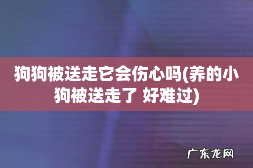 养的小狗被送走了 好难过 狗狗被送走它会伤心吗