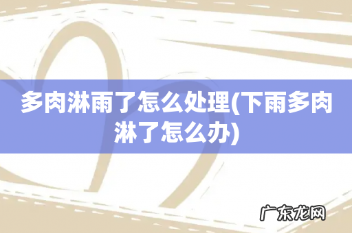 下雨多肉淋了怎么办 多肉淋雨了怎么处理