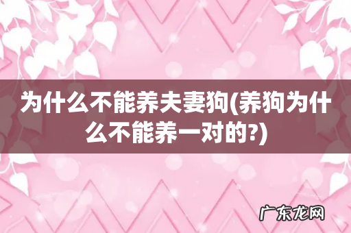 养狗为什么不能养一对的? 为什么不能养夫妻狗