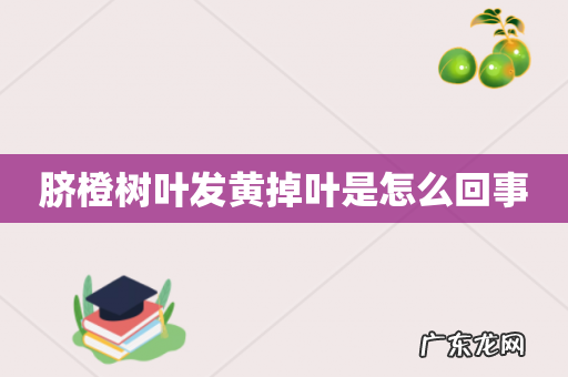 脐橙树叶发黄掉叶是怎么回事