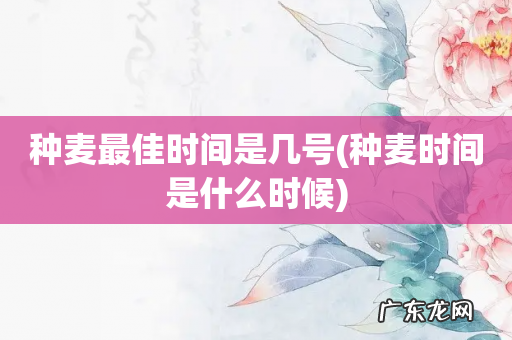 种麦时间是什么时候 种麦最佳时间是几号