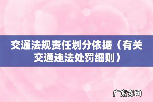 有关交通违法处罚细则 交通法规责任划分依据