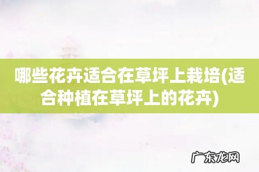 适合种植在草坪上的花卉 哪些花卉适合在草坪上栽培