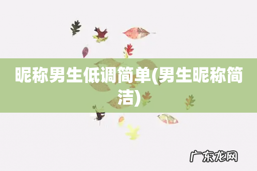 男生昵称简洁 昵称男生低调简单