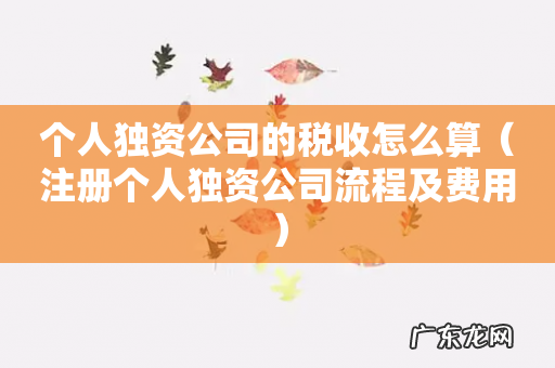 注册个人独资公司流程及费用 个人独资公司的税收怎么算