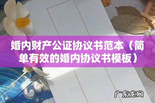 简单有效的婚内协议书模板 婚内财产公证协议书范本