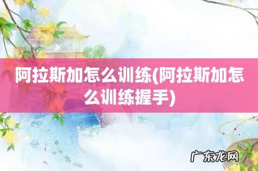 阿拉斯加怎么训练握手 阿拉斯加怎么训练