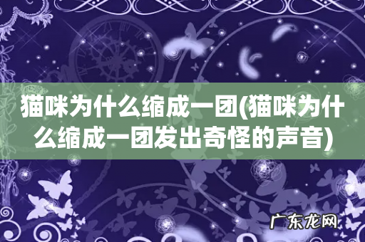 猫咪为什么缩成一团发出奇怪的声音 猫咪为什么缩成一团