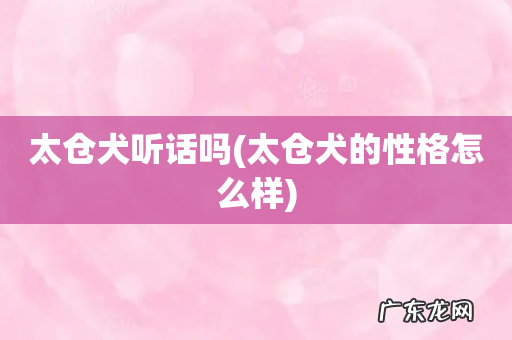 太仓犬的性格怎么样 太仓犬听话吗