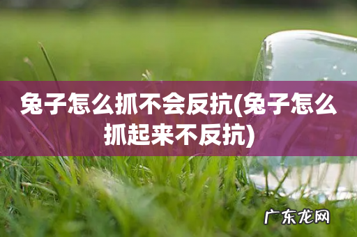 兔子怎么抓起来不反抗 兔子怎么抓不会反抗