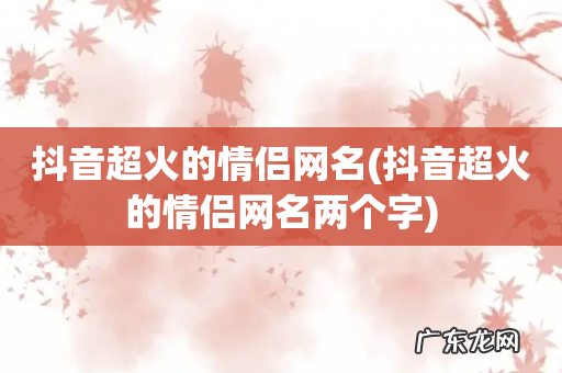 抖音超火的情侣网名两个字 抖音超火的情侣网名
