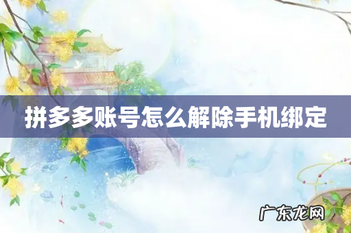 拼多多账号怎么解除手机绑定