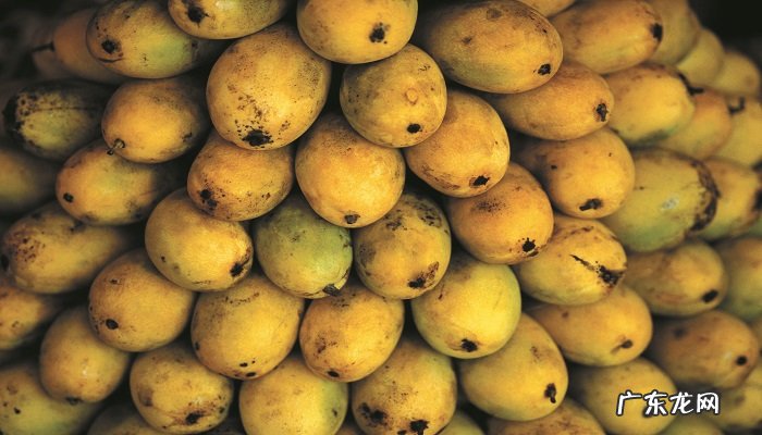 吃芒果会上火吗?芒果热量高吗