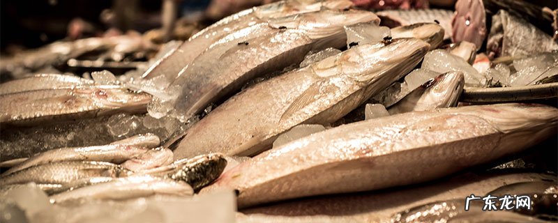 10分钟快速解冻法 冻鱼正确解冻方法