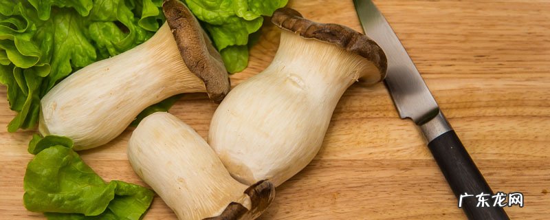 杏鲍菇不能和什么一起吃?吃杏鲍菇的注意事项