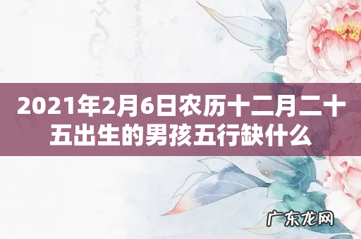 2021年2月6日农历十二月二十五出生的男孩五行缺什么