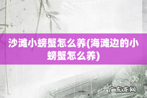 海滩边的小螃蟹怎么养 沙滩小螃蟹怎么养