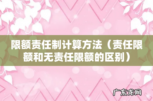 责任限额和无责任限额的区别 限额责任制计算方法