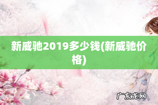 新威驰价格 新威驰2019多少钱