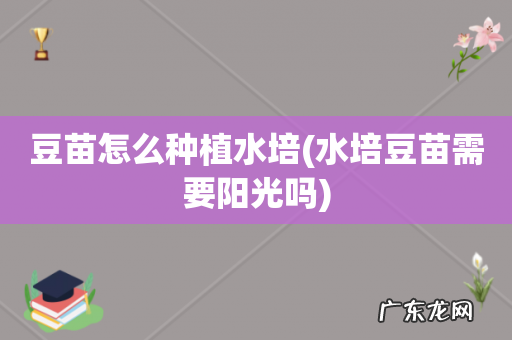 水培豆苗需要阳光吗 豆苗怎么种植水培