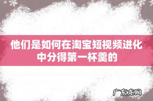 他们是如何在淘宝短视频进化中分得第一杯羹的
