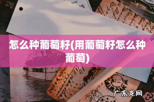 用葡萄籽怎么种葡萄 怎么种葡萄籽