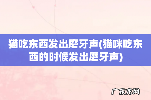 猫咪吃东西的时候发出磨牙声 猫吃东西发出磨牙声