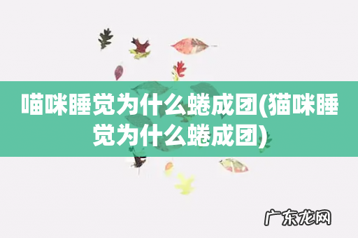 猫咪睡觉为什么蜷成团 喵咪睡觉为什么蜷成团