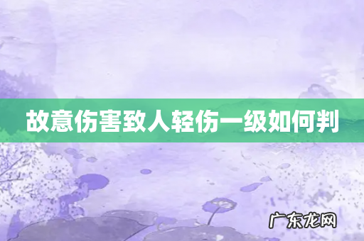 故意伤害致人轻伤一级如何判